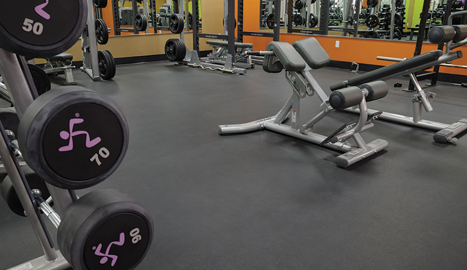 Facilities Regupol Anytime Fitness Column