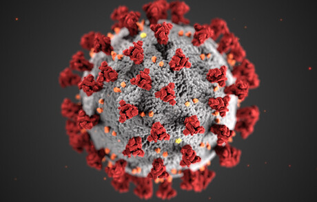 Coronavirus
